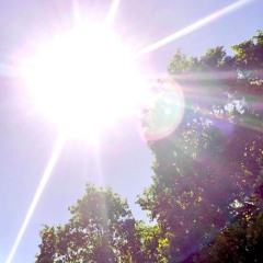 Sundrops