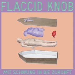 FLACCID KNOB - HAARPUNE