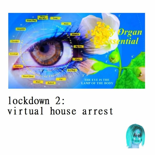 BGV Radio on NTS, S02E11: "Lockdown 2: Virtual House Arrest" Hosted by Katie Vick
