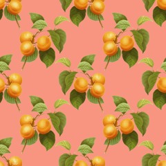 Josh Taylor - Leon [Fantastic Tapes]