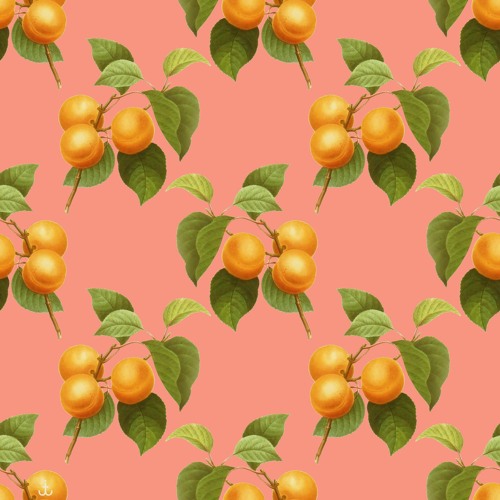 Josh Taylor - Leon [Fantastic Tapes]