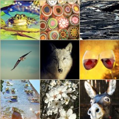 GESCHICHTEN&MUSIK Beliebte Folgen