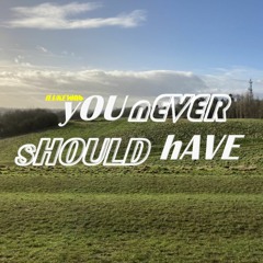 yOU nEVER sHOULD hAVE
