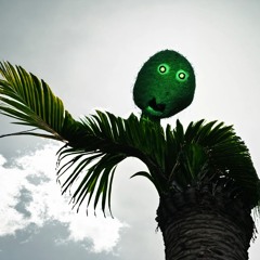 Llámame palmera