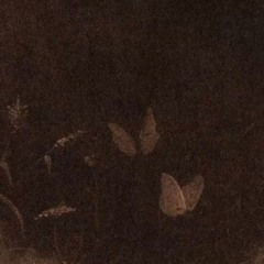 Undeveloped and Not Understood