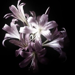 raozy mazava (prod.me)