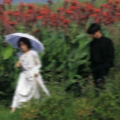 Popo (How deep is our love?)