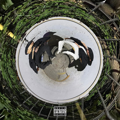 тупой, молодой