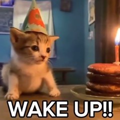 Marcix - Hyperactive (squid mei flip) [clip]