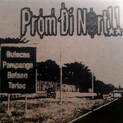 2. Skabeche - Table no. 10