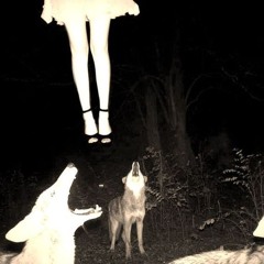 ПЕСНЯ ХИЩНИКА (OP)