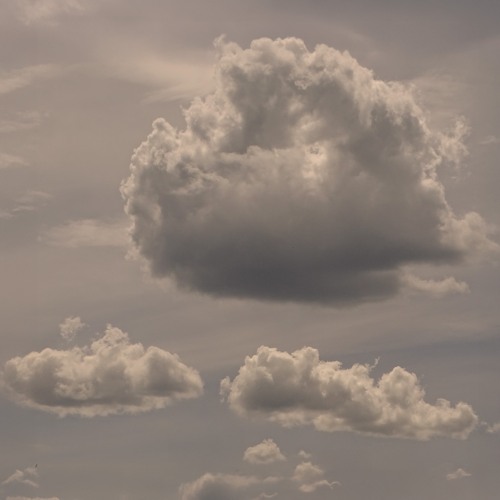 The Sky Never Speaks (Nature Version)