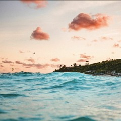 tropics