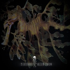 PREMIERE: DIBIDABO - Alien Drum (Original Mix)