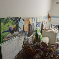 Mercy triumphs over justice.m4a