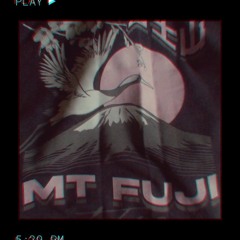 Mt fuji 24-25