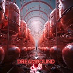 Dreambound: The Prisoner of the Dream Realm