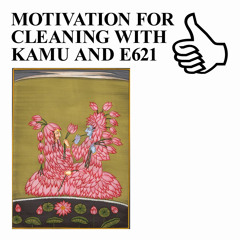 MOTIVATION FOR CLEANING WITH KAMU AND E621