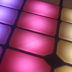 The Awfully awkward orchid orchestra.wav