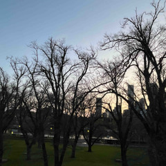 Allow peace to prevail 🗽🕊️