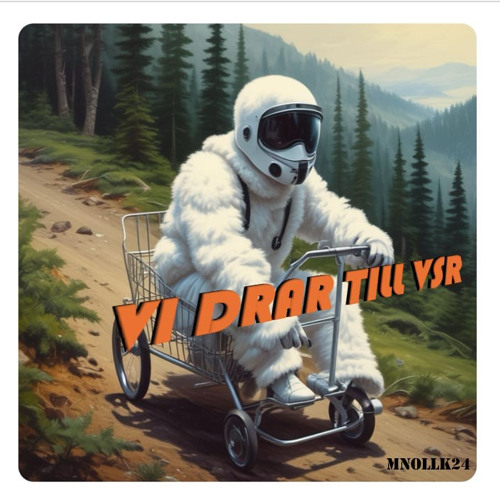 VI DRAR TILL VSR (VSR 2025) - MnollK24