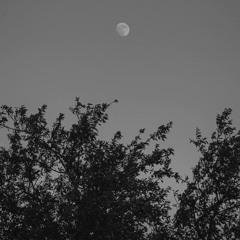 143AM [Interlude]