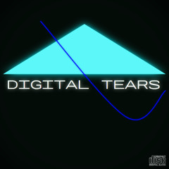 2k3_CD - Digital Tears ⊹₊ ࣪