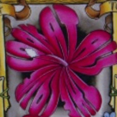 ConTroL (Never Lose)