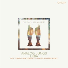 Analog Jungs - Ocean (Original Mix)