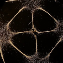 523 Hertz (FREE DOWNLOAD)