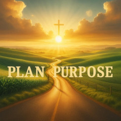 Plan and Purpose - Folk rock