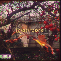 Catastrophe