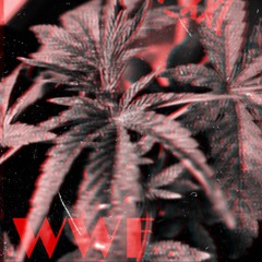 WWF X T