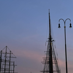 Fotosyntese(det er vår)