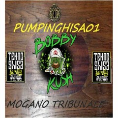 PUMPINGHISA01 - Mogano Tribunale(free download)