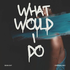 What would I do (Original Mix) - Sean-Oh?