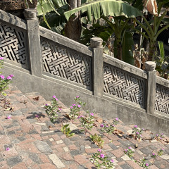 chuyện đám trẻ ở vùng cao