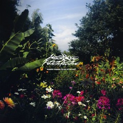 RUNNING TOWARDS THE END OF THE LIGHT