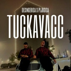 Desingerica x Pljugica - TUCKAVACC