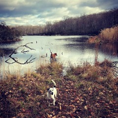 Le Six À Set Vol 1 - VINYL ONLY Lockdown Insta Live - 11:04:2020 7.00 PM