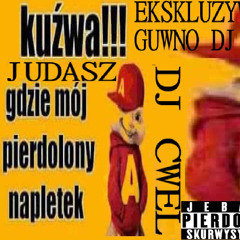 JUDASZ - JA NIE SŁUCHAM GÓWNA (HOSTED BY DJ CWEL)