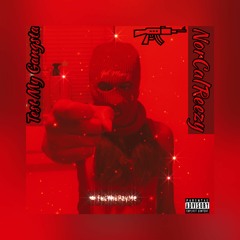 Test My Gangsta