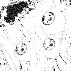 𝙚𝙡𝙡𝙞𝙥𝙨𝙚 𝙢𝙞𝙭 𝙫.3