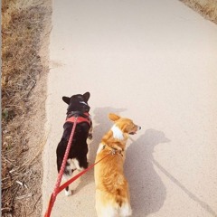 가까운 듯 먼 그대여-카더가든 cover