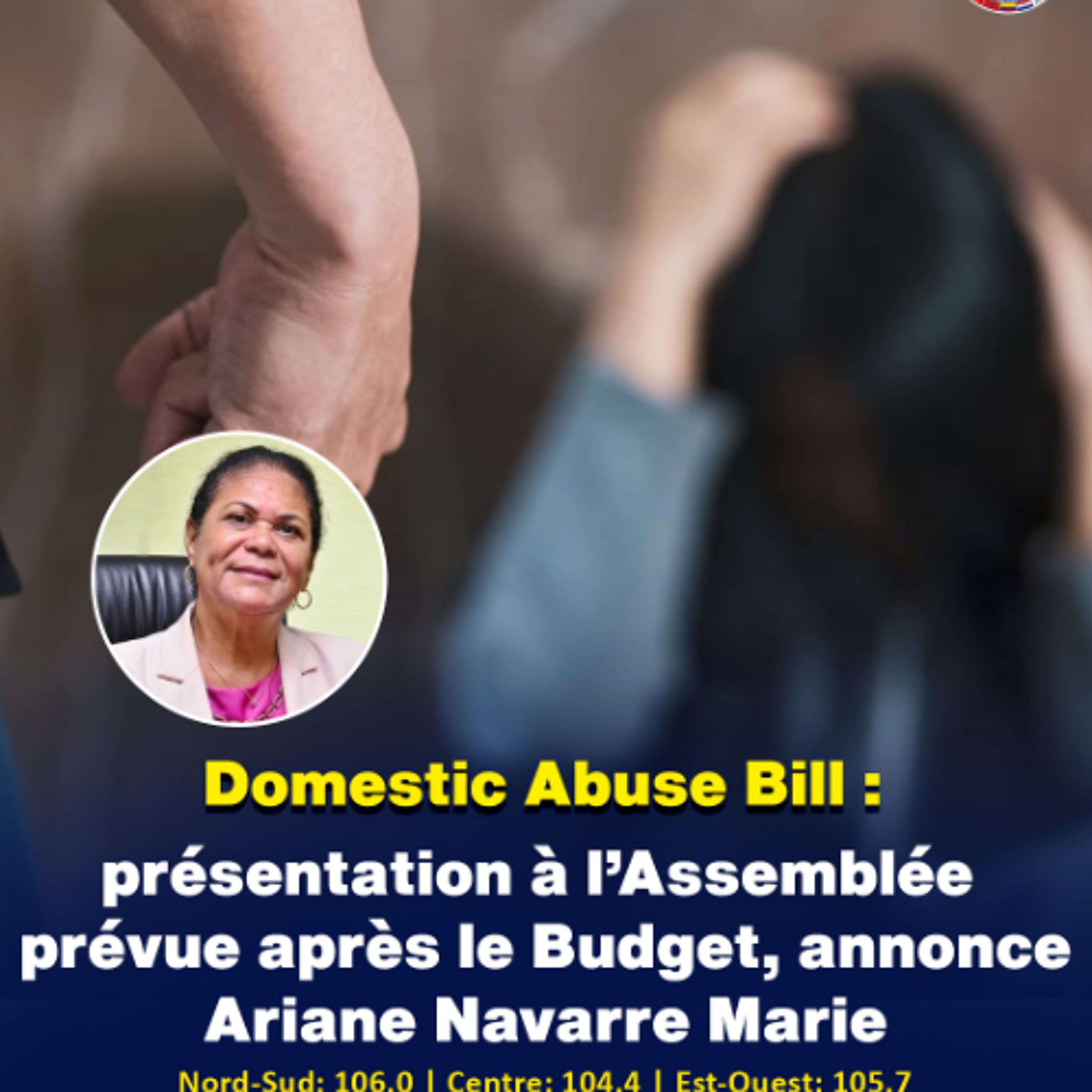 Domestic Abuse Bill : présentation à l’Assemblée prévue après le Budget, annonce Ariane Navarre Marie episode artwork