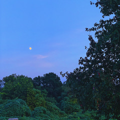 Higher1 - 6/29/20, 6.15 PM