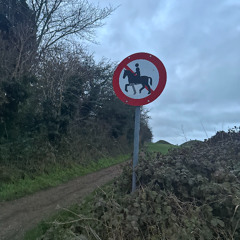 Lil Raven - Fiance ft Racing Shy