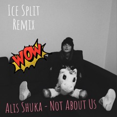 Alis Shuka - Not About Us (Ice Split Radio Edit).mp3