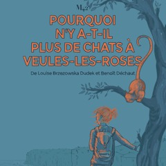 Pourquoi-nya-til-plus-de-chats (CDN Rouen)