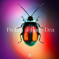 Packim & Dario Dea - Your Mind (Hoofman & Nacim Gastli Rmx)
